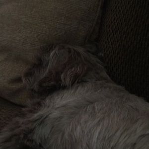 Meet your Posher, Kelly